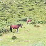 La Pasiega