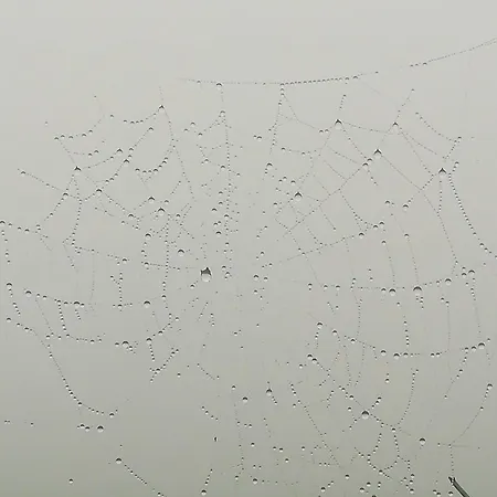 La Pasiega Σπίτι διακοπών San Roque de Ríomiera