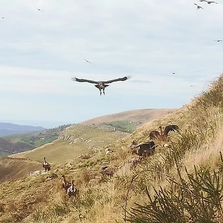 بيت للعطل La Pasiega San Roque de Ríomiera