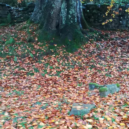 La Pasiega بيت للعطل