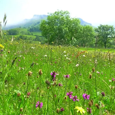 بيت للعطل La Pasiega