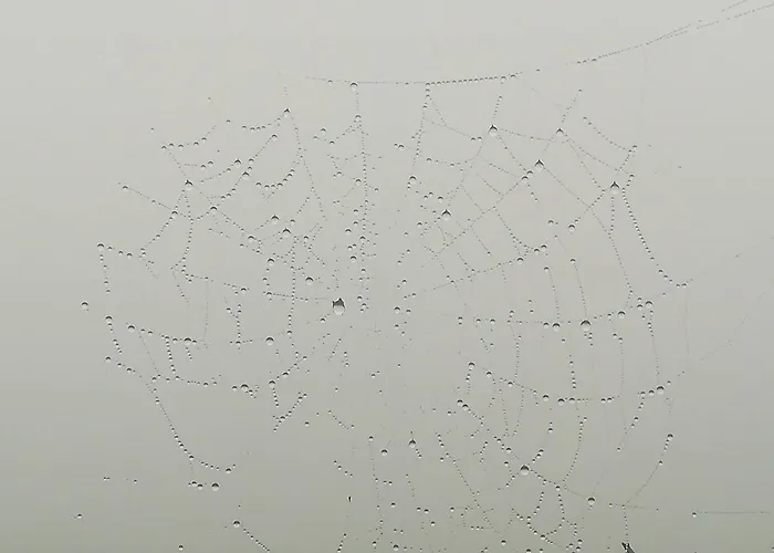 La Pasiega بيت للعطل San Roque de Ríomiera