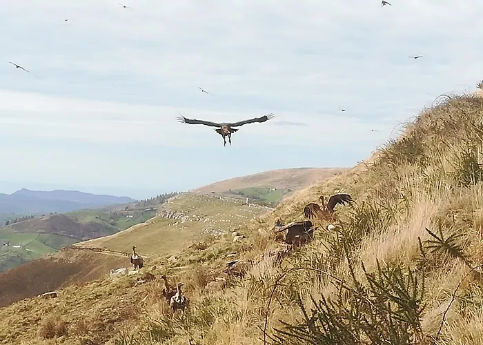 بيت للعطل La Pasiega San Roque de Ríomiera